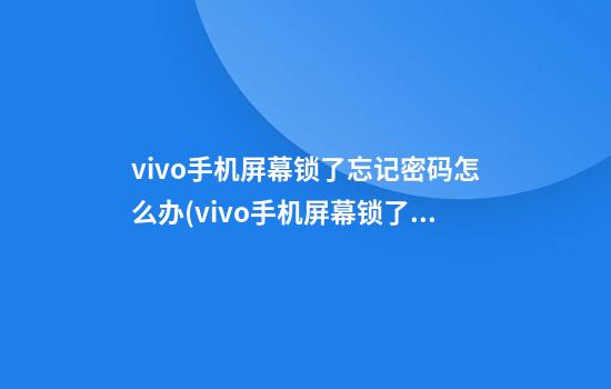 vivo手机屏幕锁了忘记密码怎么办(vivo手机屏幕锁了忘记密码怎么办视频)