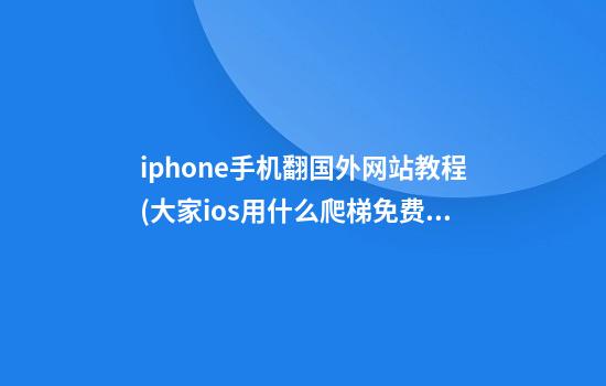 iphone手机翻国外网站教程(大家ios用什么爬梯免费)