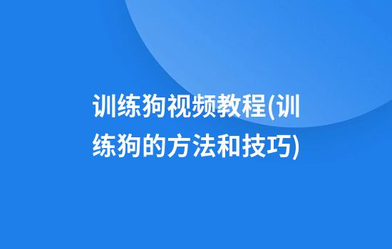 训练狗视频教程(训练狗的方法和技巧)