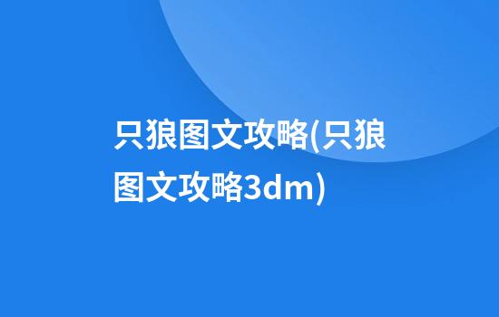 只狼图文攻略(只狼图文攻略3dm)