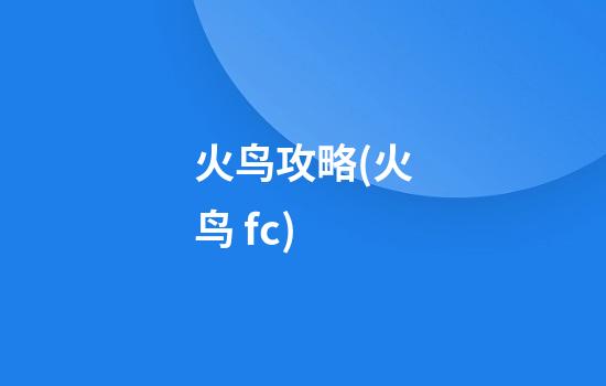 火鸟攻略(火鸟 fc)