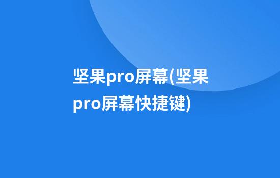 坚果pro屏幕(坚果pro屏幕快捷键)