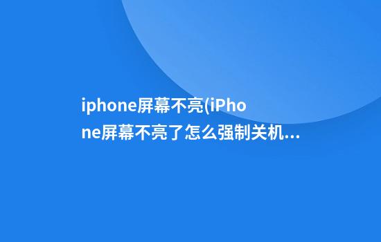 iphone屏幕不亮(iPhone屏幕不亮了怎么强制关机)