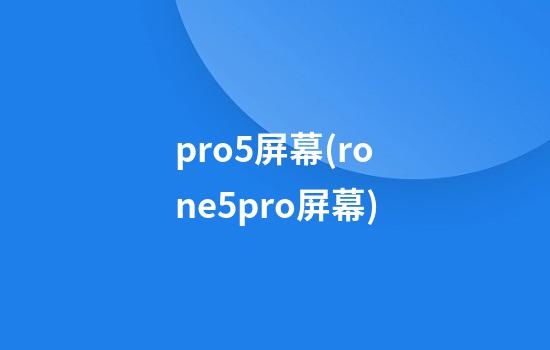 pro5屏幕(rone5pro屏幕)