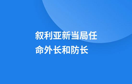 叙利亚新当局任命外长和防长