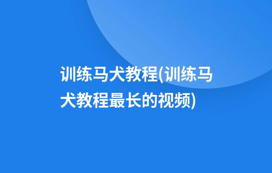 训练马犬教程(训练马犬教程最长的视频)