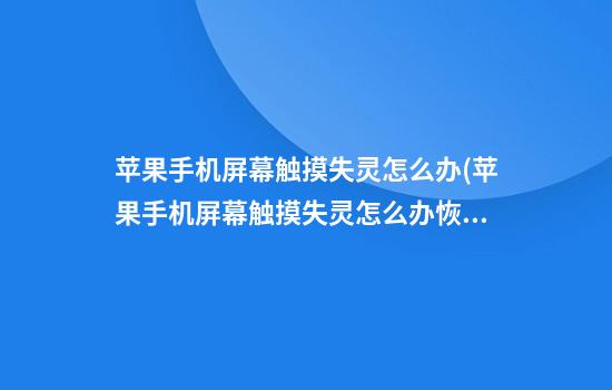 苹果手机屏幕触摸失灵怎么办(苹果手机屏幕触摸失灵怎么办恢复)