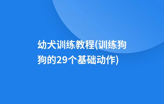 幼犬训练教程(训练狗狗的29个基础动作)