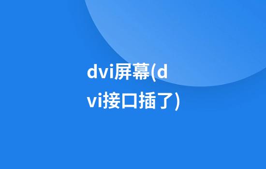 dvi屏幕(dvi接口插了)