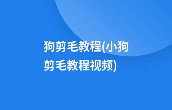 狗剪毛教程(小狗剪毛教程视频)