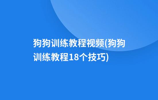 狗狗训练教程视频(狗狗训练教程18个技巧)