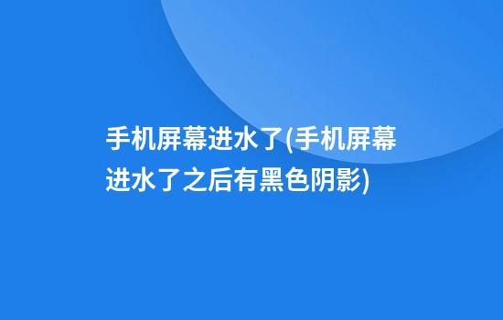 手机屏幕进水了(手机屏幕进水了之后有黑色阴影)